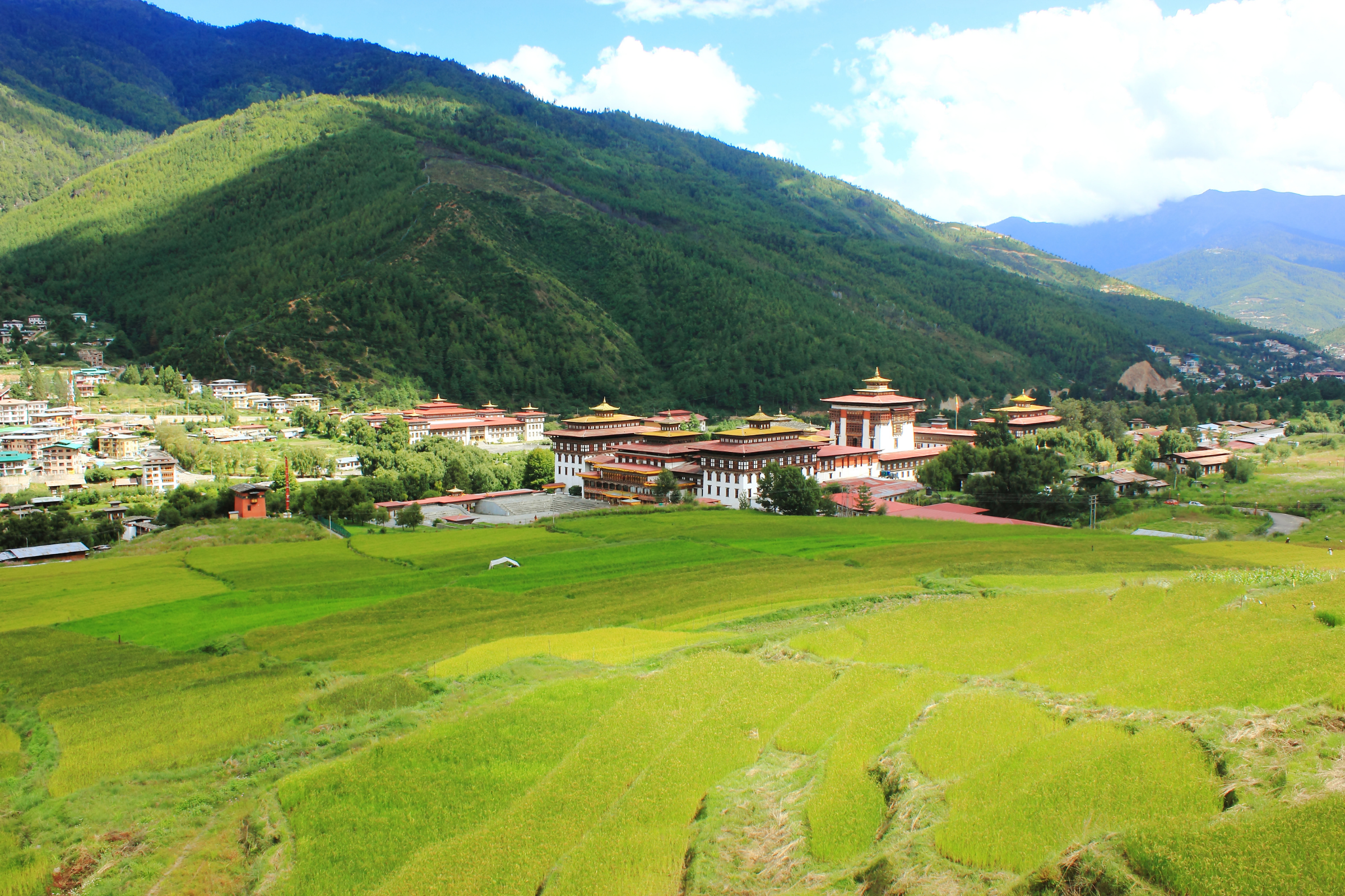 thimphu (bhutan) (2).webp